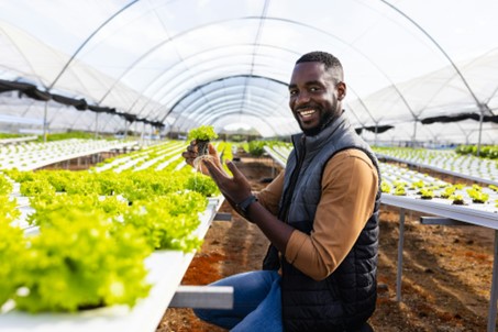 Man with fresh vegetables in greenhouse